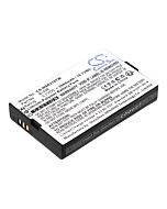 2900mAh for Inrico T310